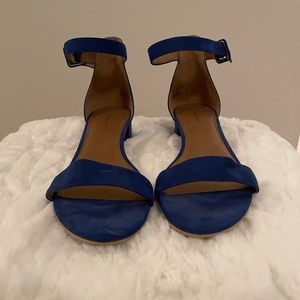 Royal blue sandals size 11